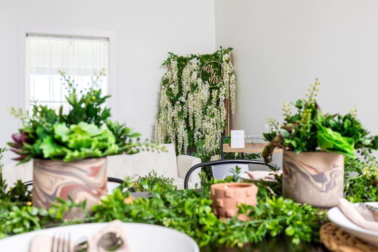 by_wisteriawall-forestmoss-tedros-ticul